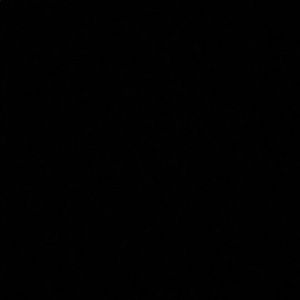 Meet your Posher, Ellie